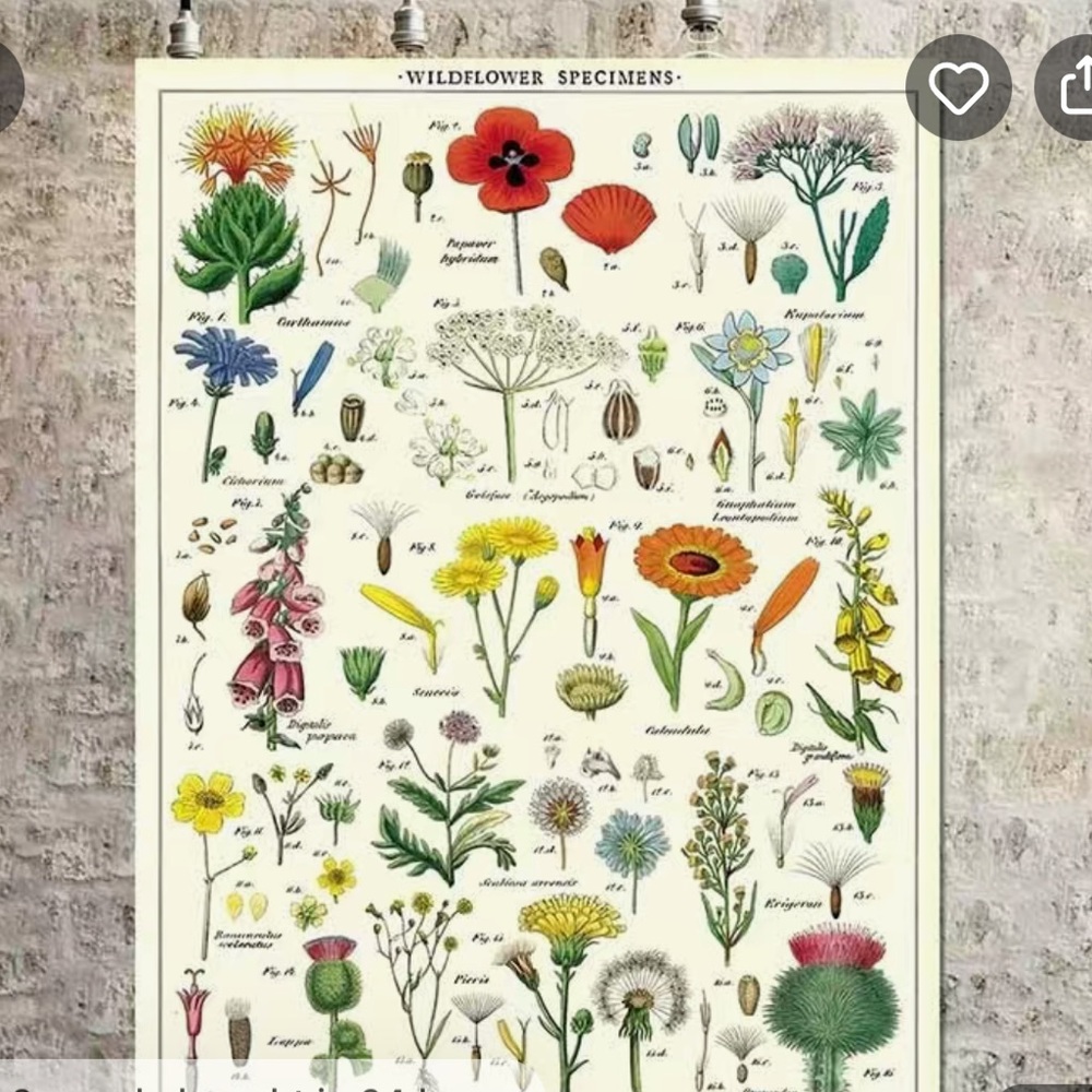 Encyclopedia of Flowers Plants Canvas NEW on fabric